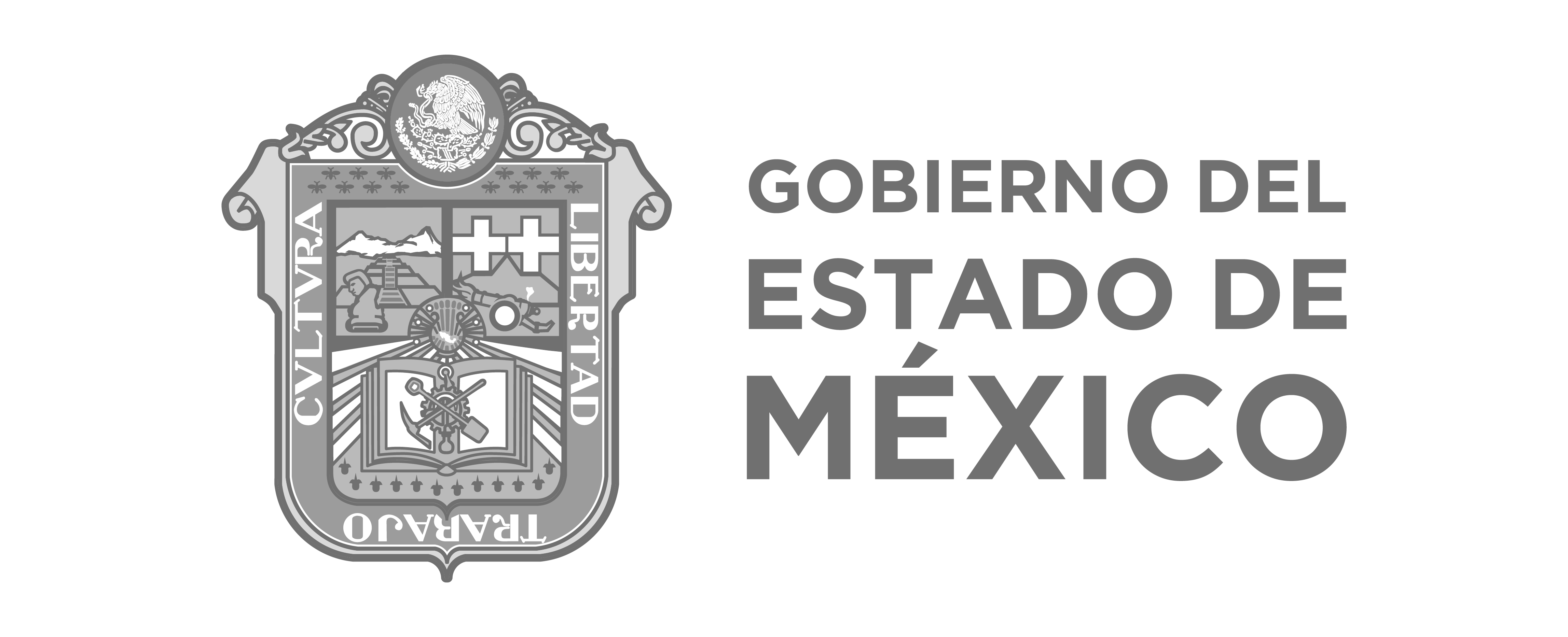 Gobierno del Estado de México, Instituto de Salud del Estado de México