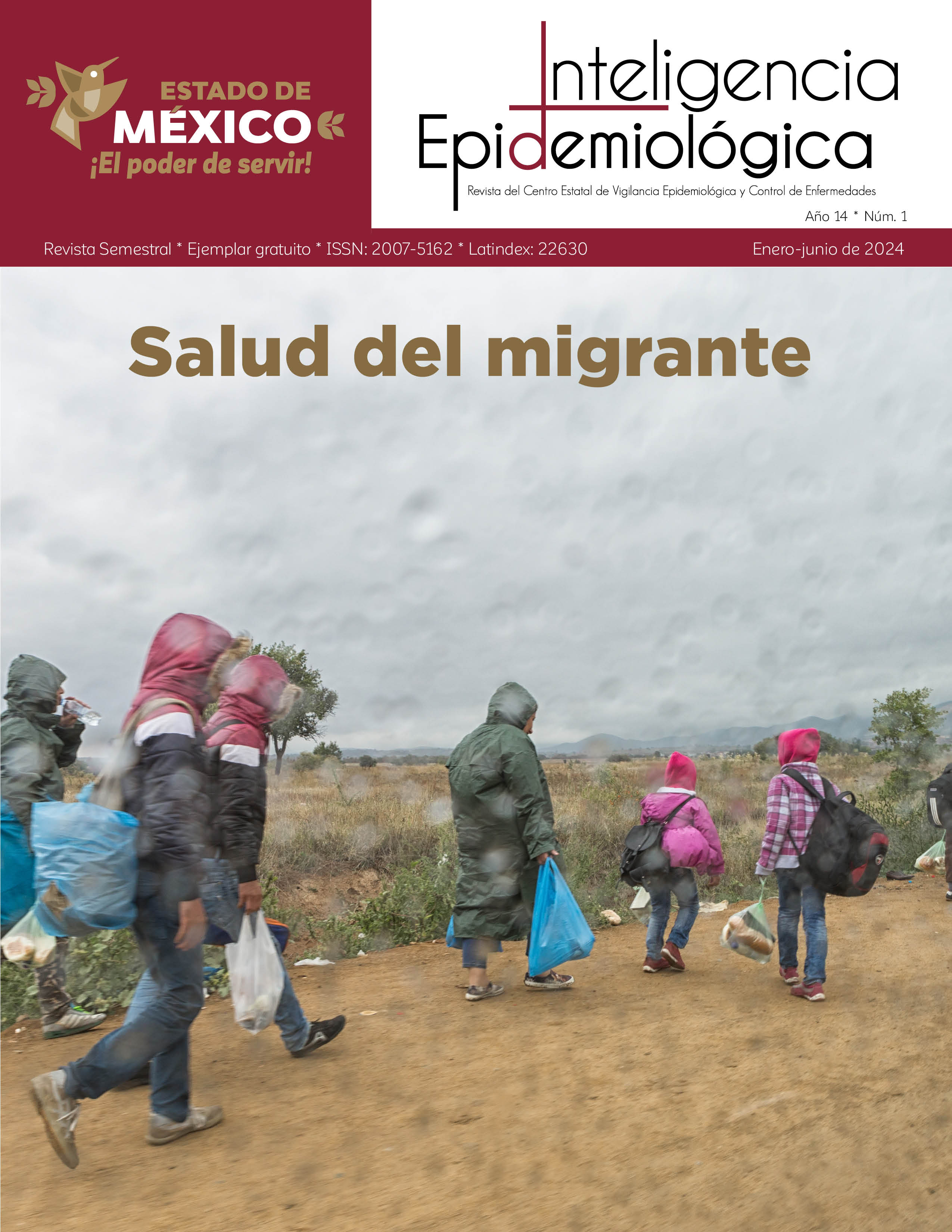 					Ver Vol. 14 Núm. 1 (2024): Salud del Migrante
				